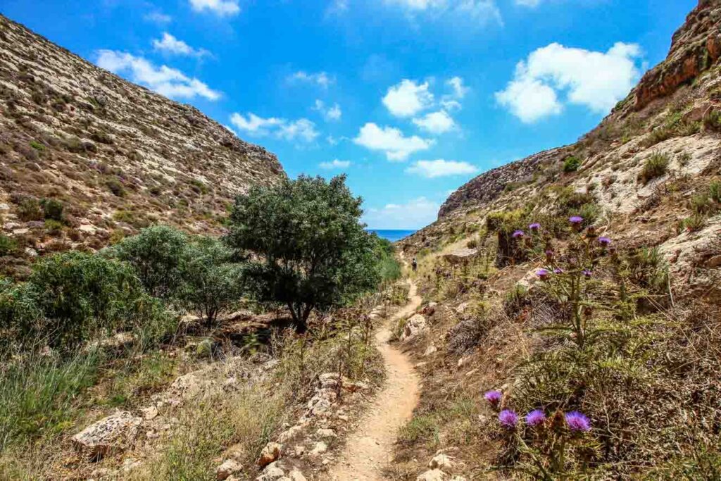 Esplorazione autentica a Lampedusa: Trekking tra paesaggi mozzafiato, flora unica e avventure incontaminate in ogni stagione